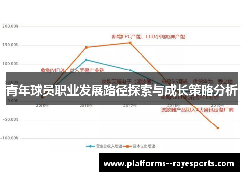 青年球员职业发展路径探索与成长策略分析